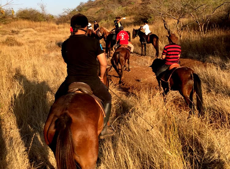 Cross Country Riding – 18 Jan 2015