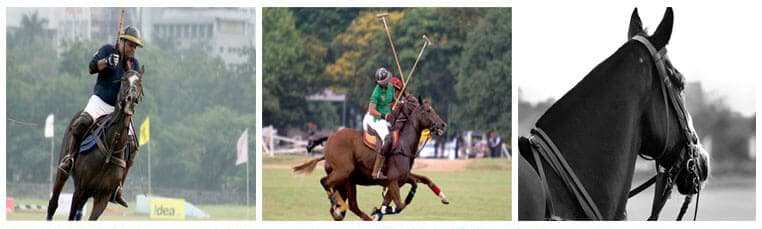 Event Gallery - Image 21