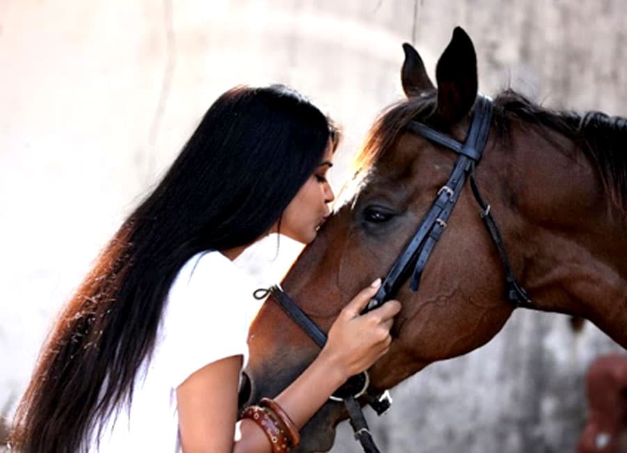 Health Benefits of Horse Riding That You Did Not Know